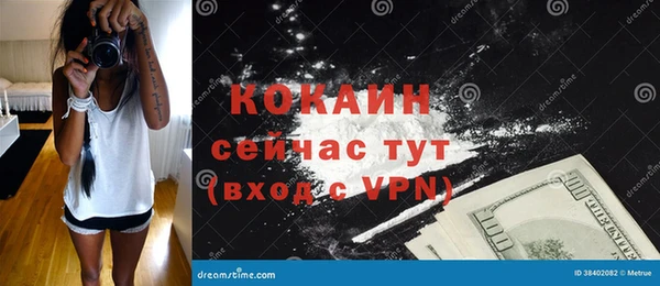 индика Болохово
