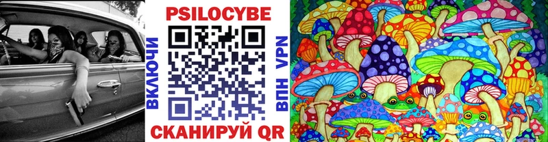 blacksprut tor  Пудож  Галлюциногенные грибы MAGIC MUSHROOMS 